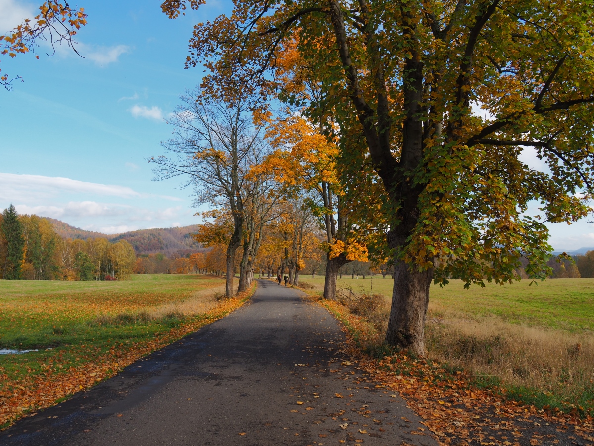 PA181133n.jpg