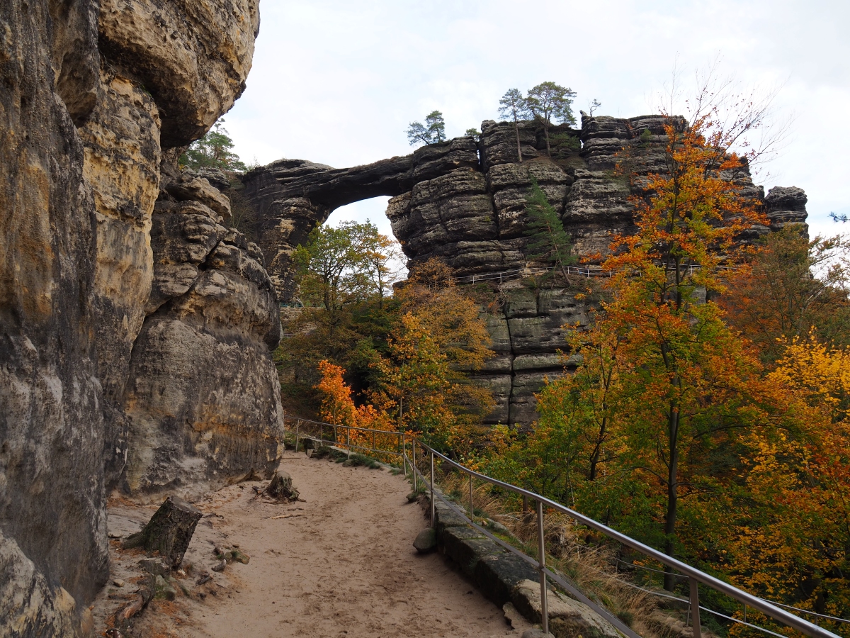 PA181219n.jpg