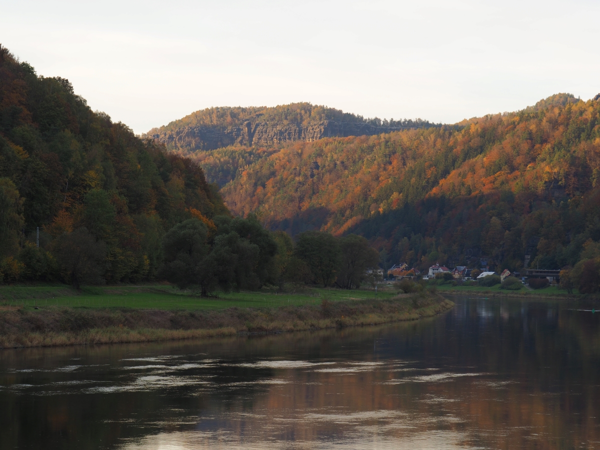 PA181242n.jpg