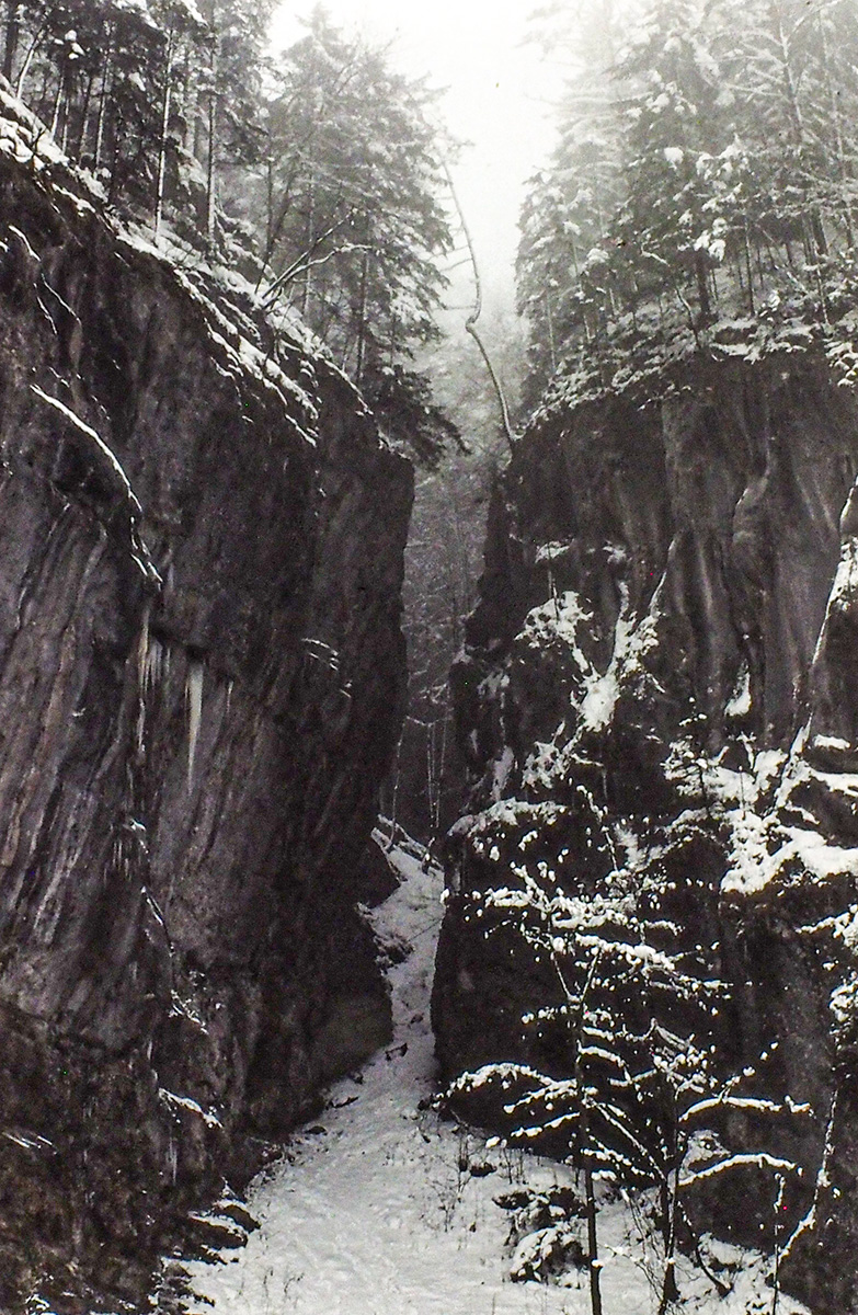 PA200117-Edit.jpg
