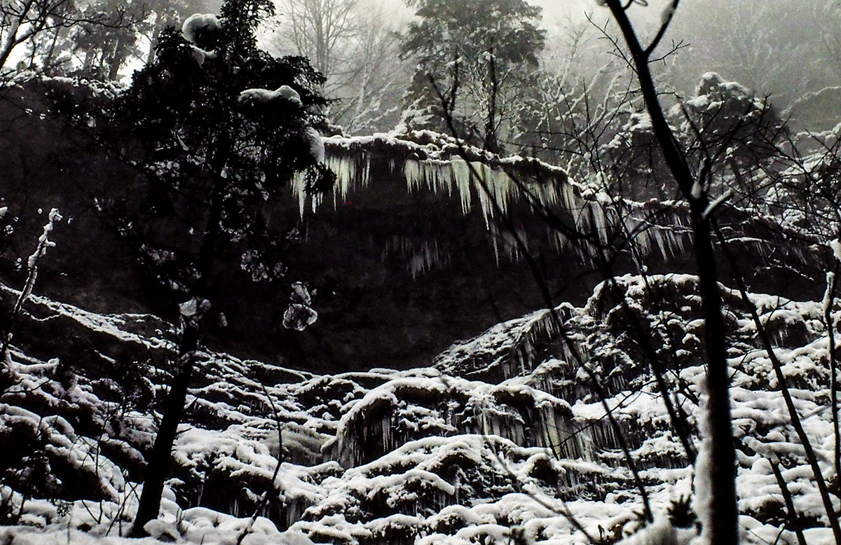 PA200122-Edit.jpg