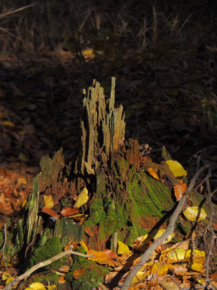 PA203670n.JPG