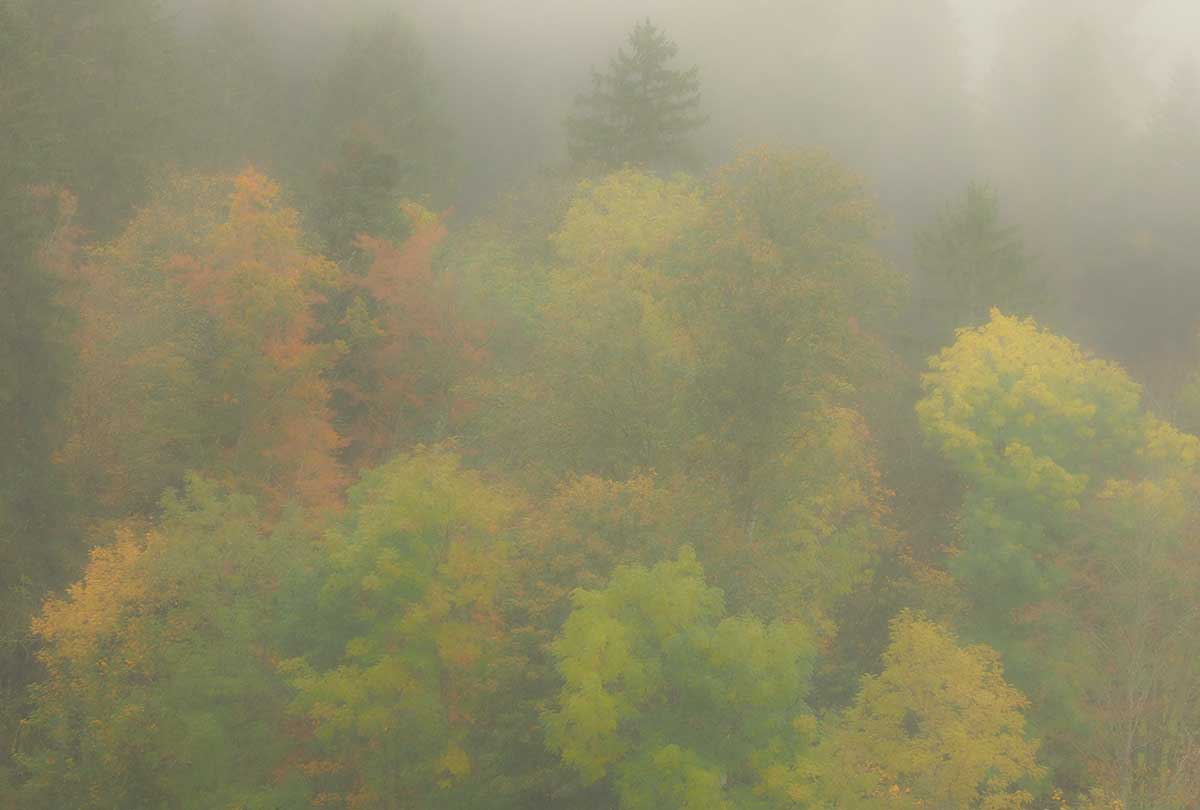 PA220010.jpg