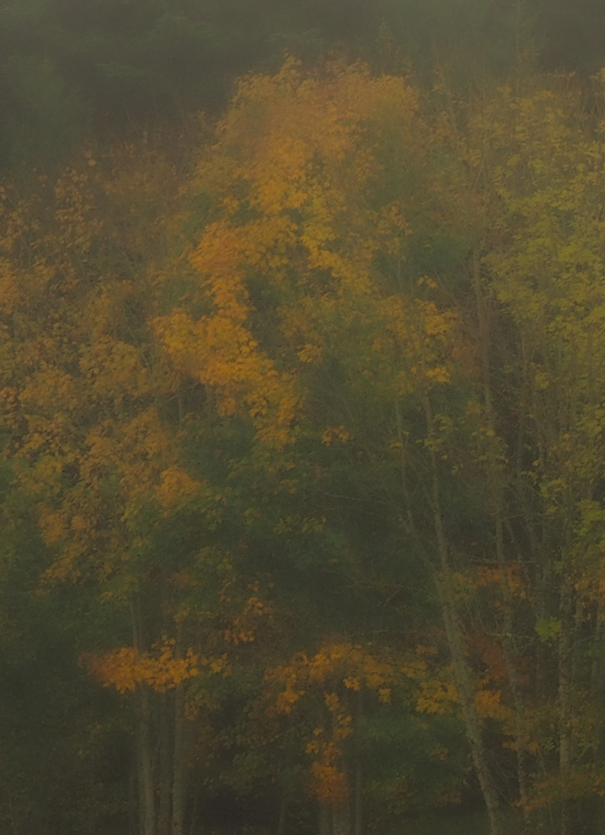 PA220017-Edit.jpg