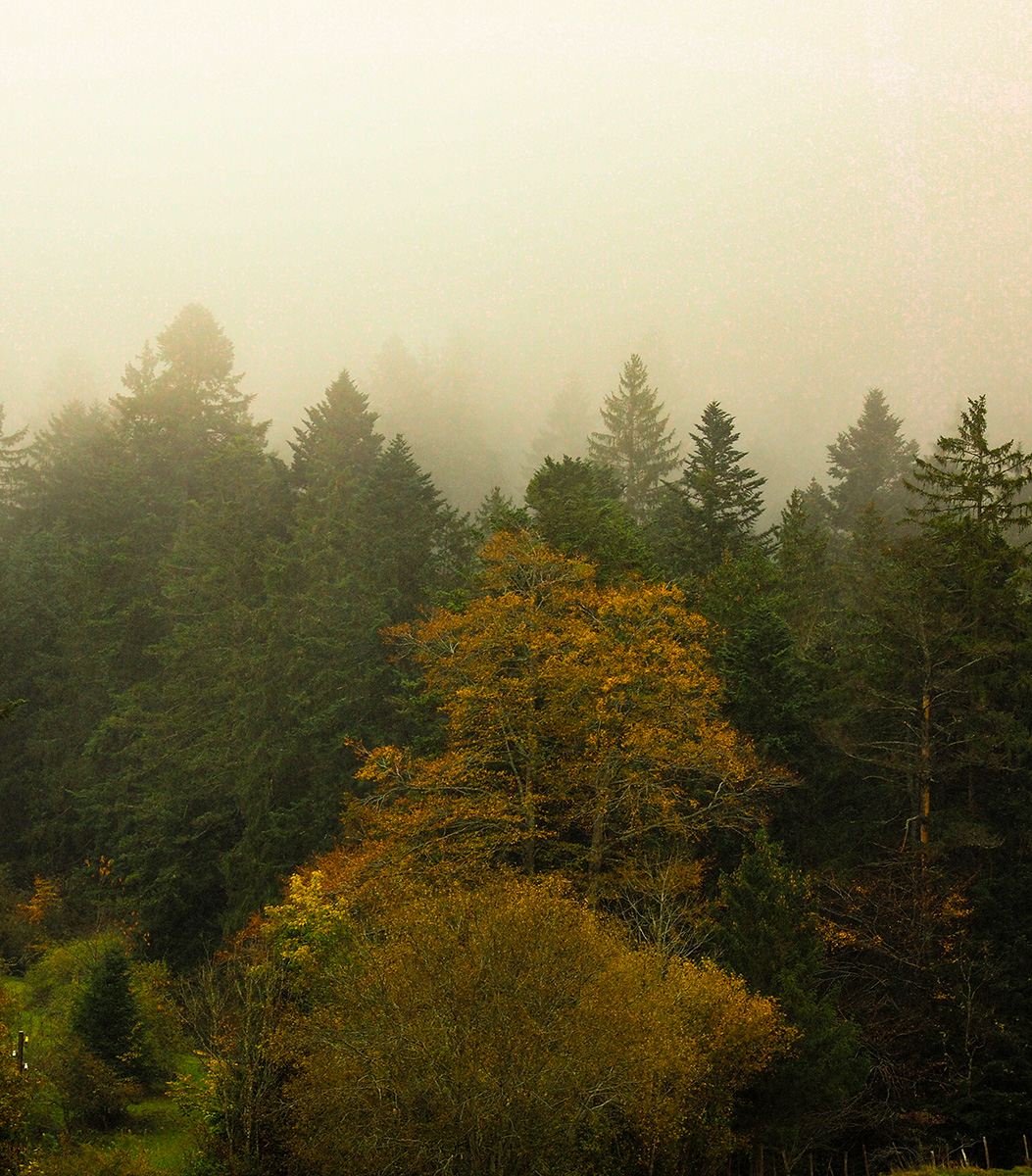 PA220021-Edit.jpg