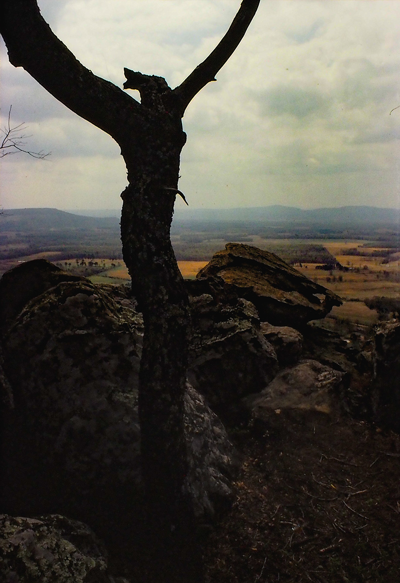 PA230277.jpg