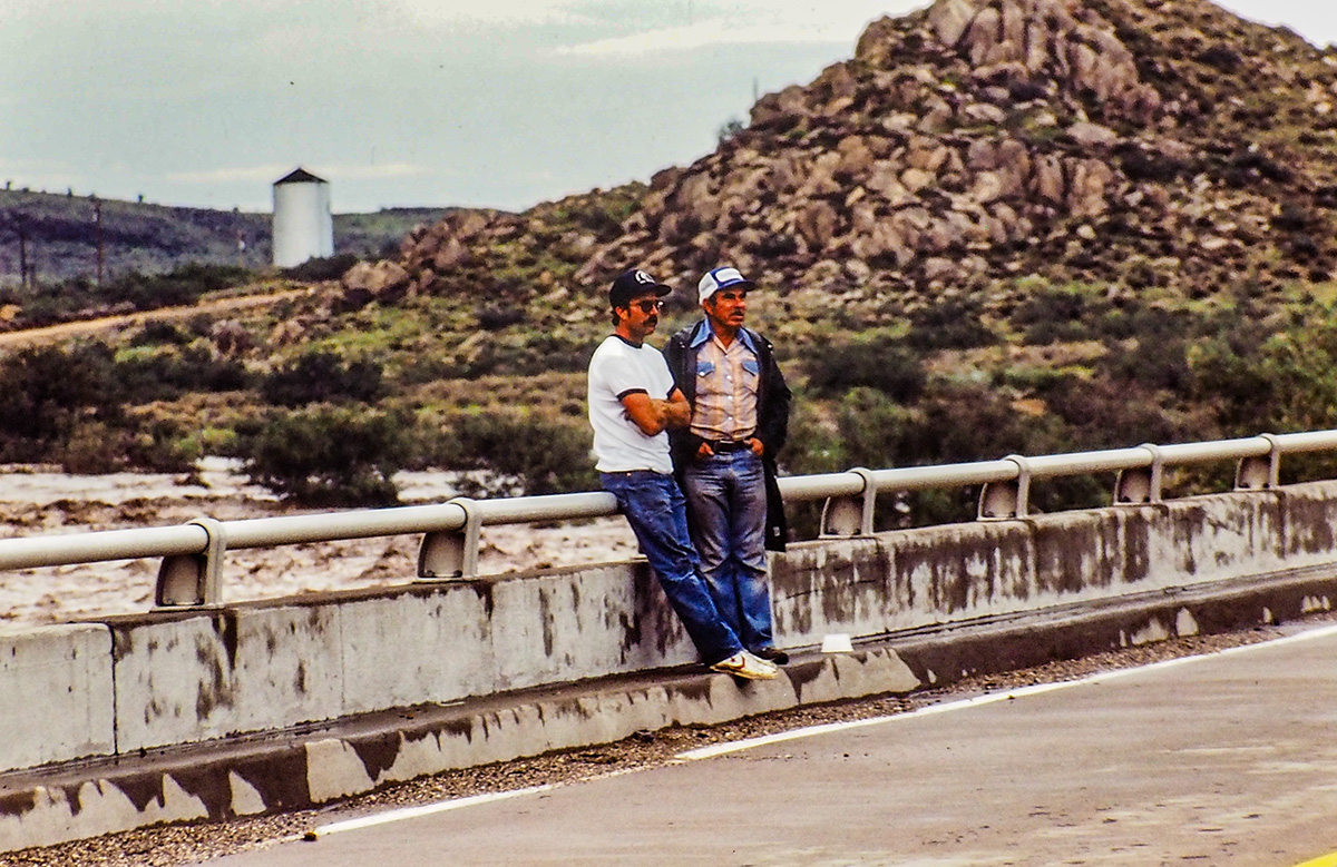 PA260725.jpg