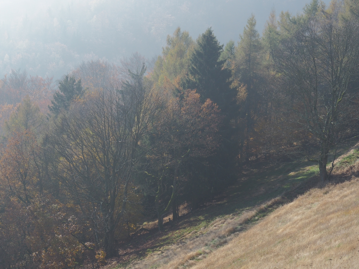 PA273741n.JPG