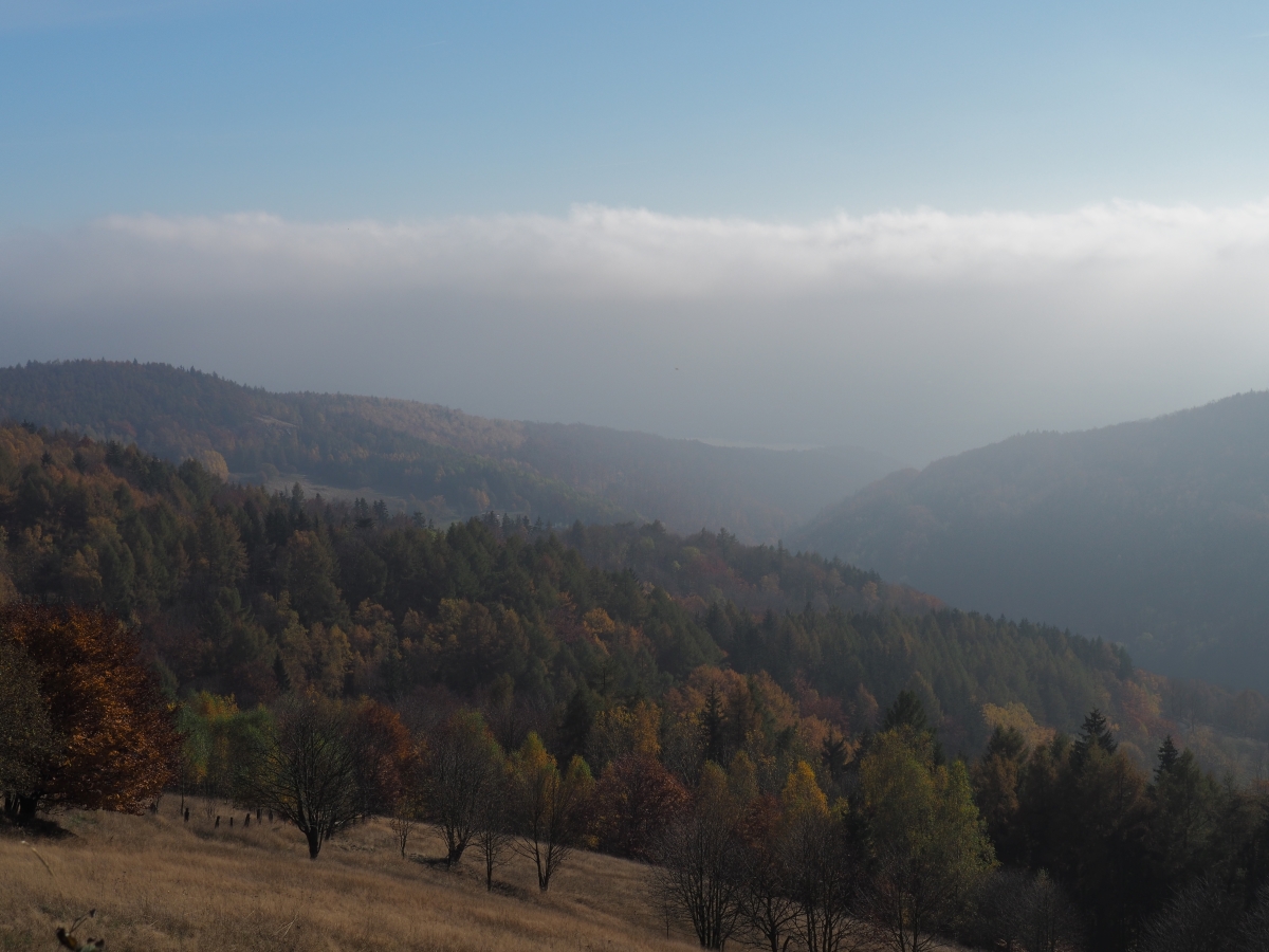 PA273746n.JPG