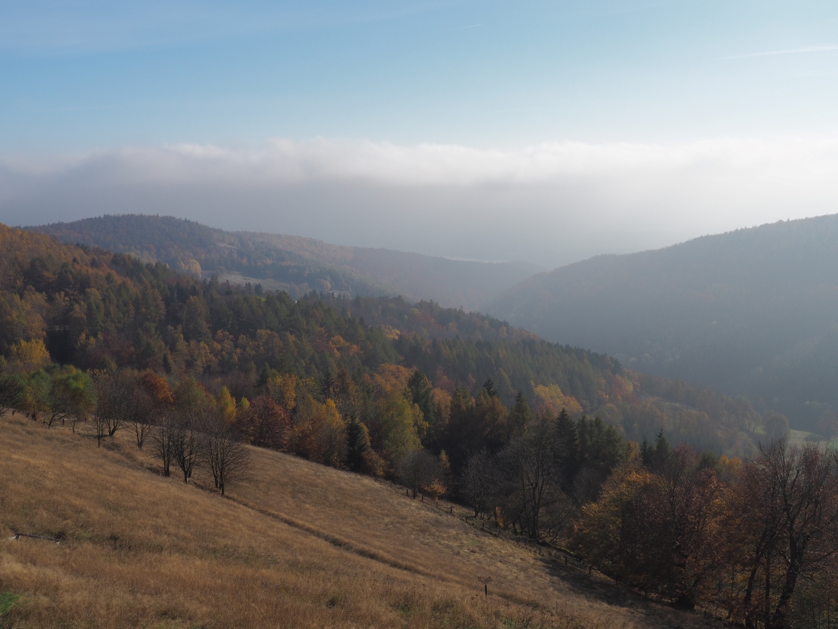PA273750n.JPG