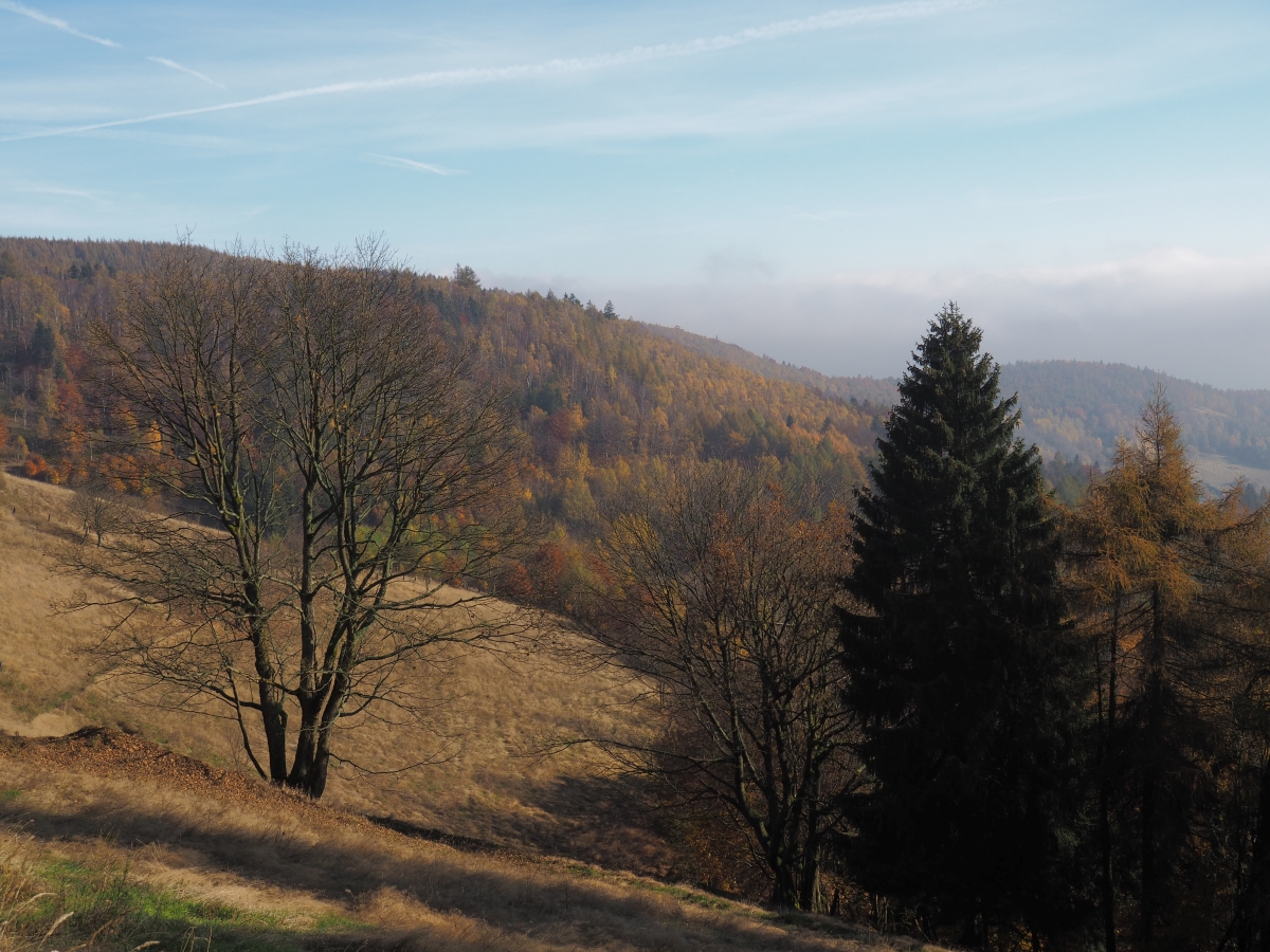 PA273756n.JPG