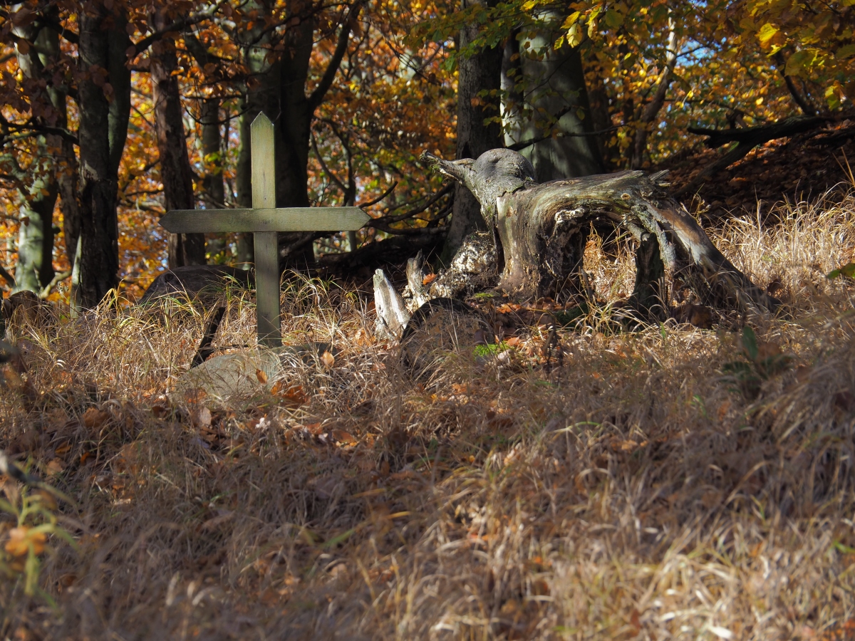 PA273761n.JPG