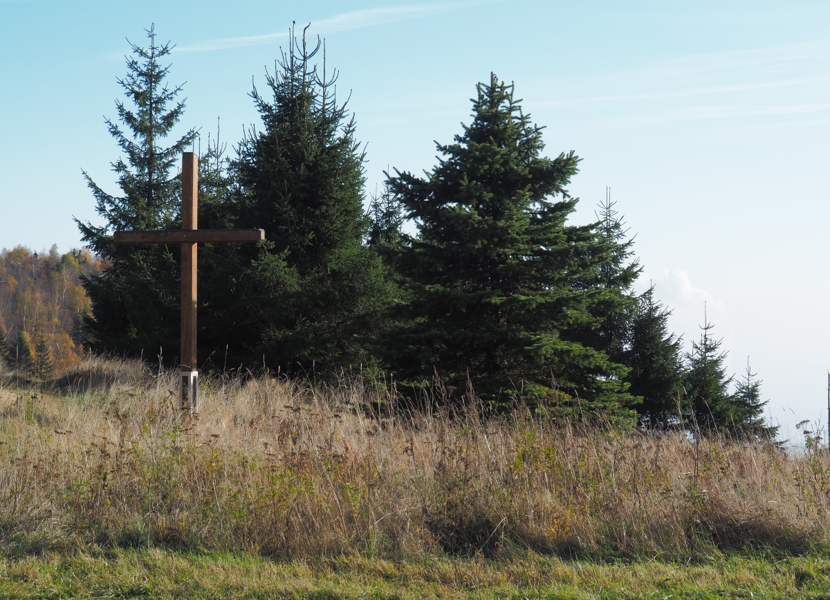 PA273767kn.JPG