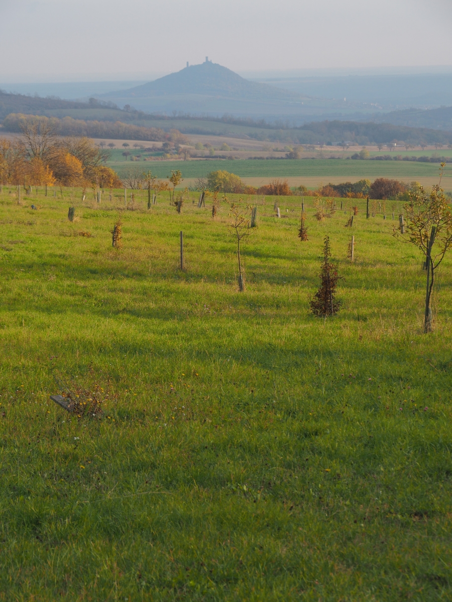 PA273801kn.JPG