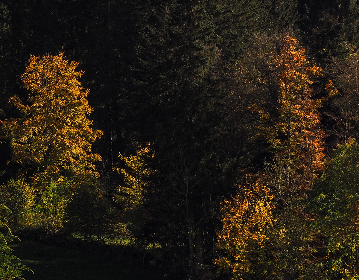 PA280014.jpg