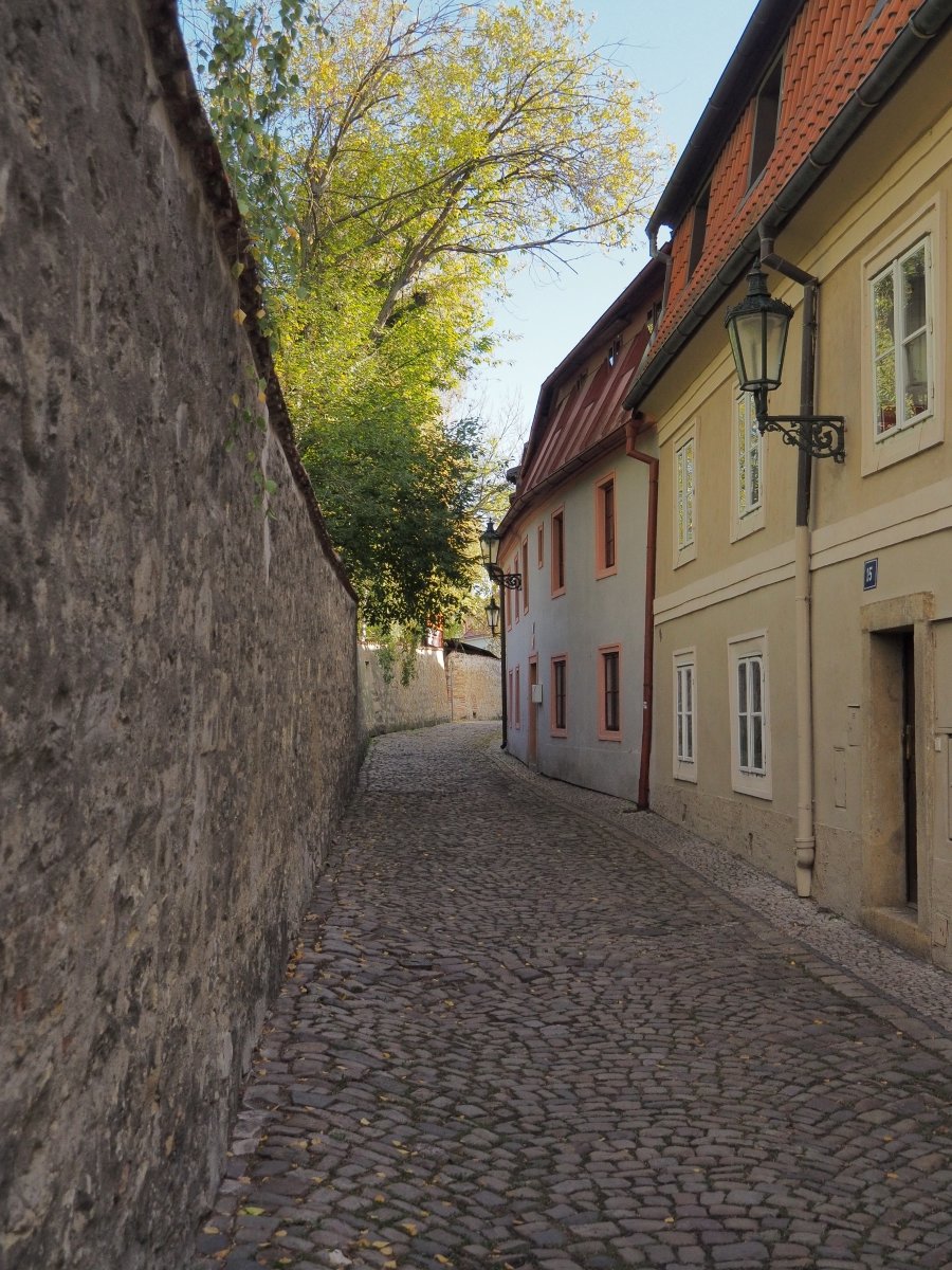 PA301357o.JPG