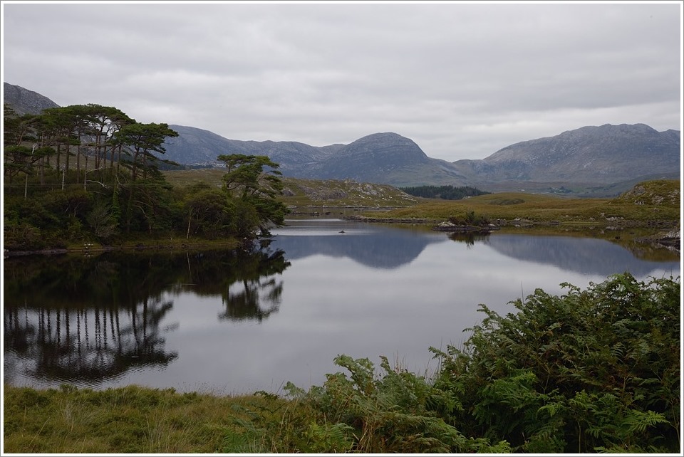 paddyland1
