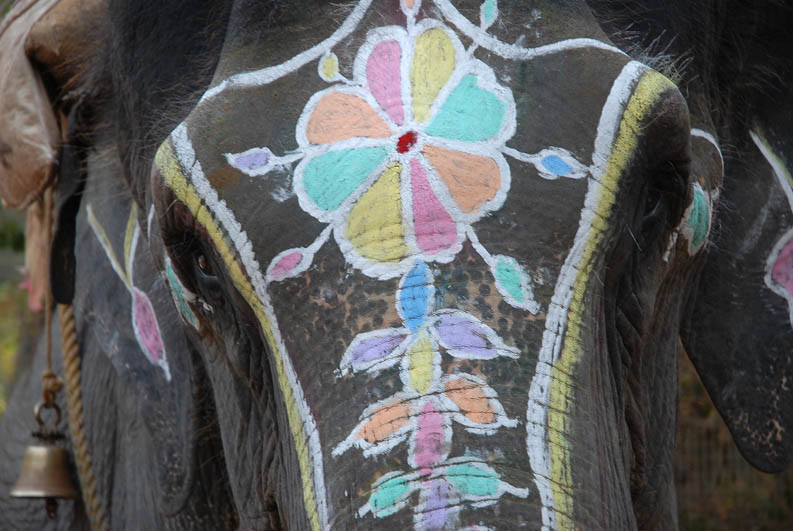 Painted Elephant