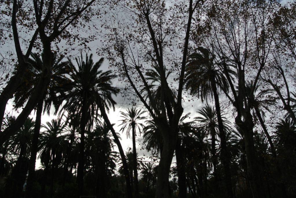 Palermo