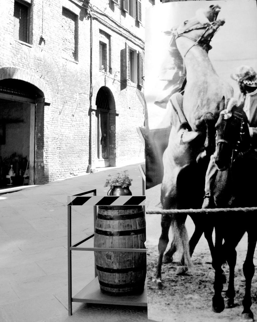 Palio  D7K3228