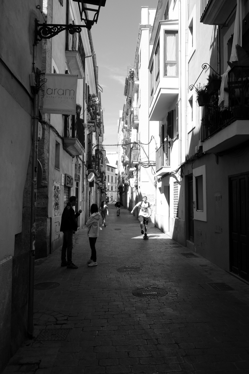 Palma.1.ff.jpg