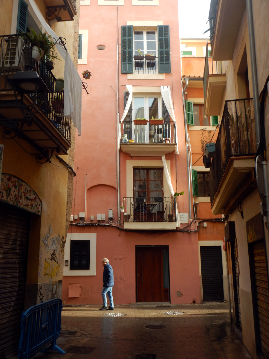 Palma.1ff.jpg