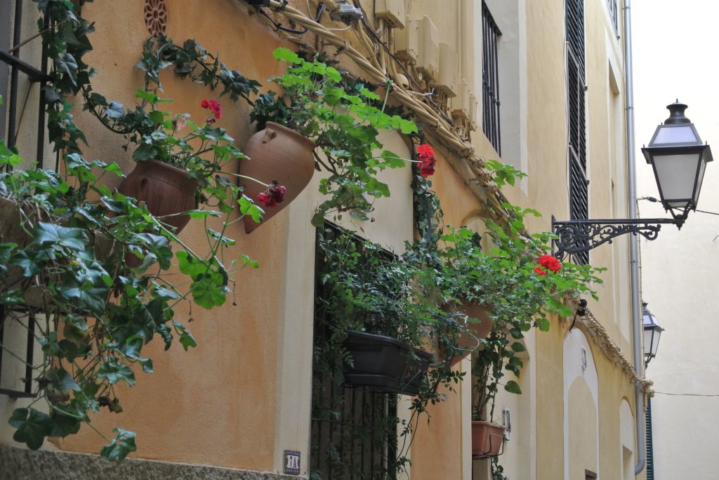Palma de Mallorca