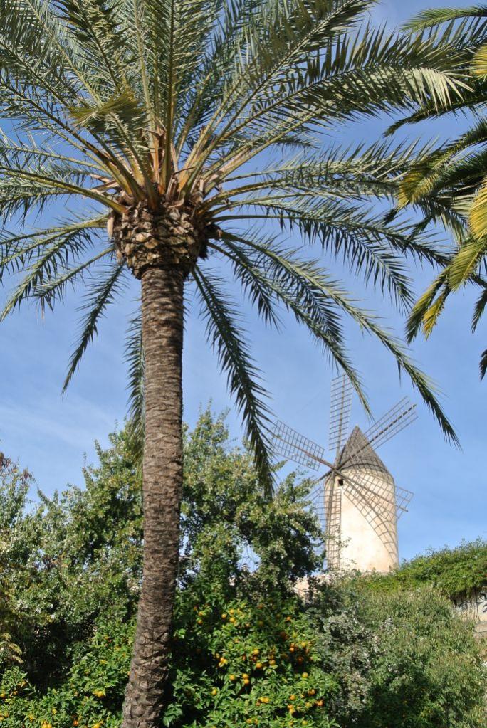 Palma de Mallorca