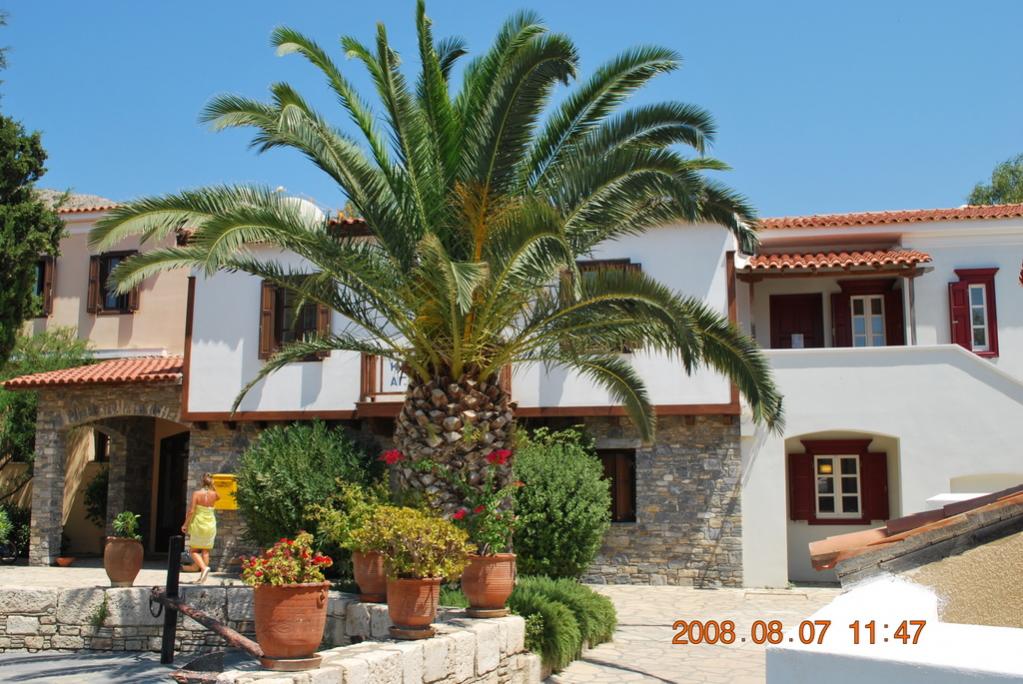 Palme