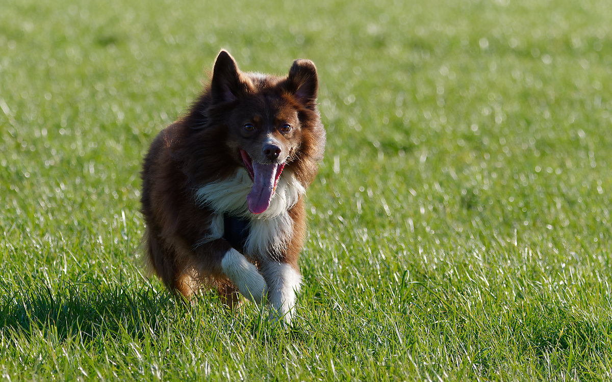 PANA8200_DxO1200.jpg