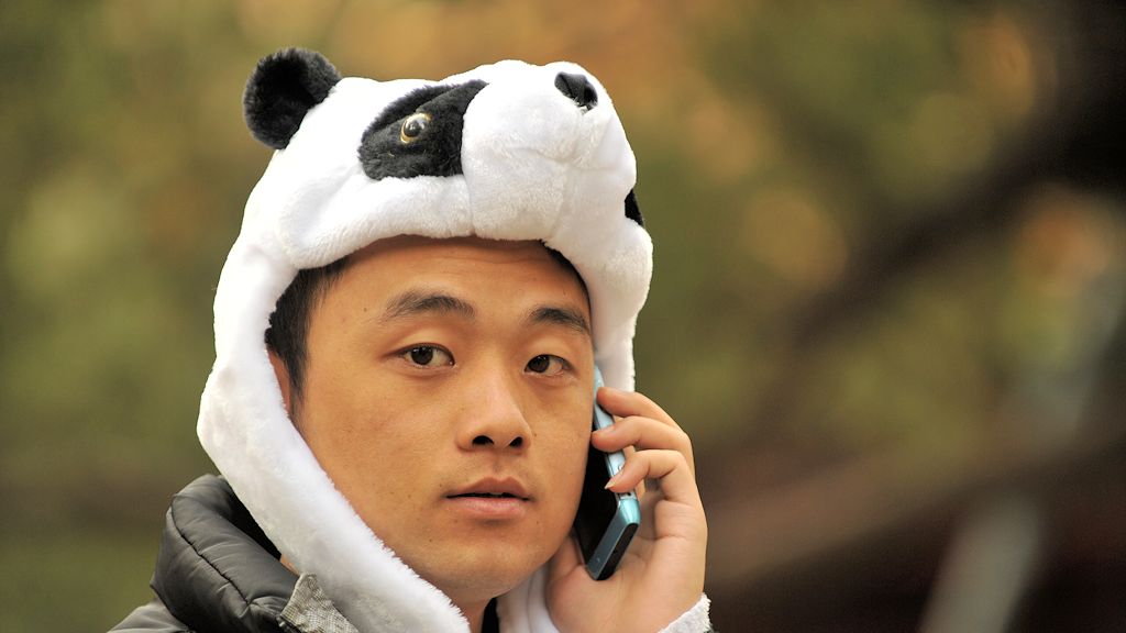 Panda-Bär in der Verbotenen Stadt
3883