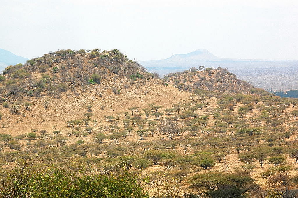 Panorama Tsavo West - Poacher´s Lookout