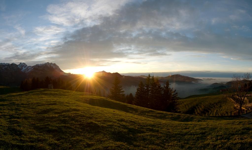 Panorama