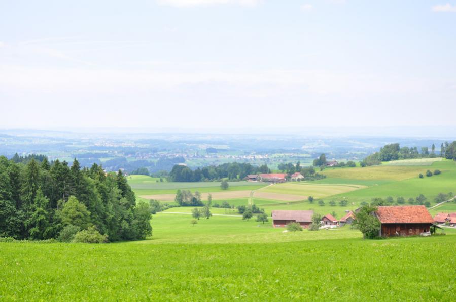 Panorama