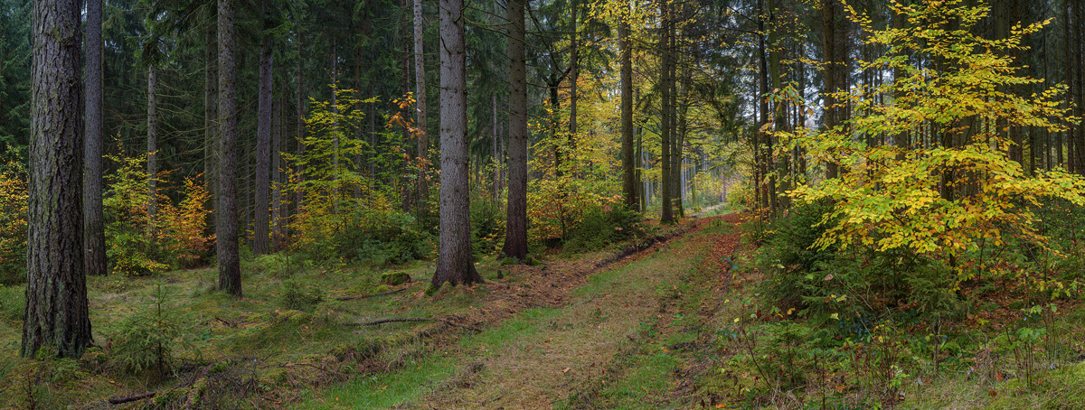 Panorama1a.jpg