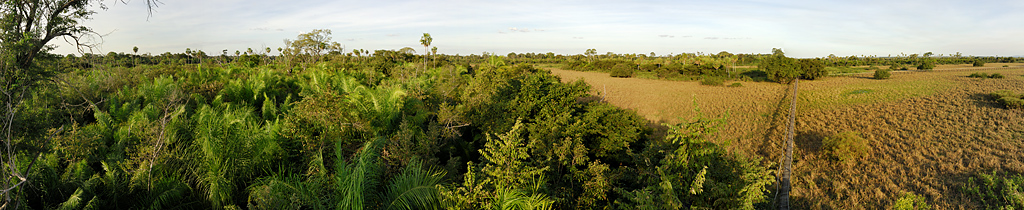 Pantanal Pano1