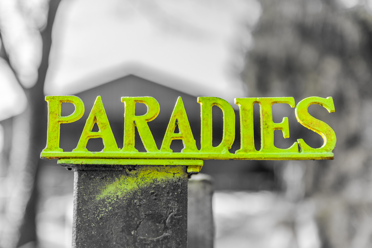 Paradies Colorkey