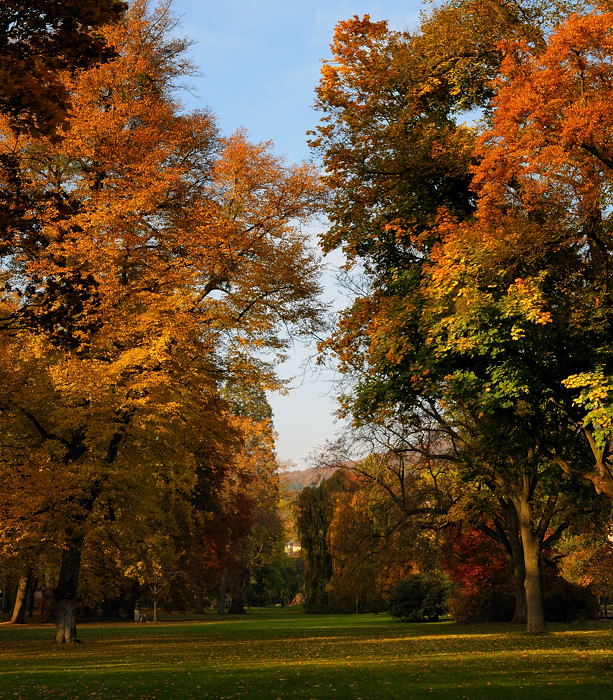 Park