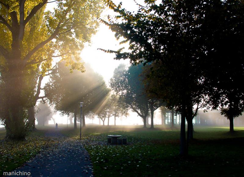 Park