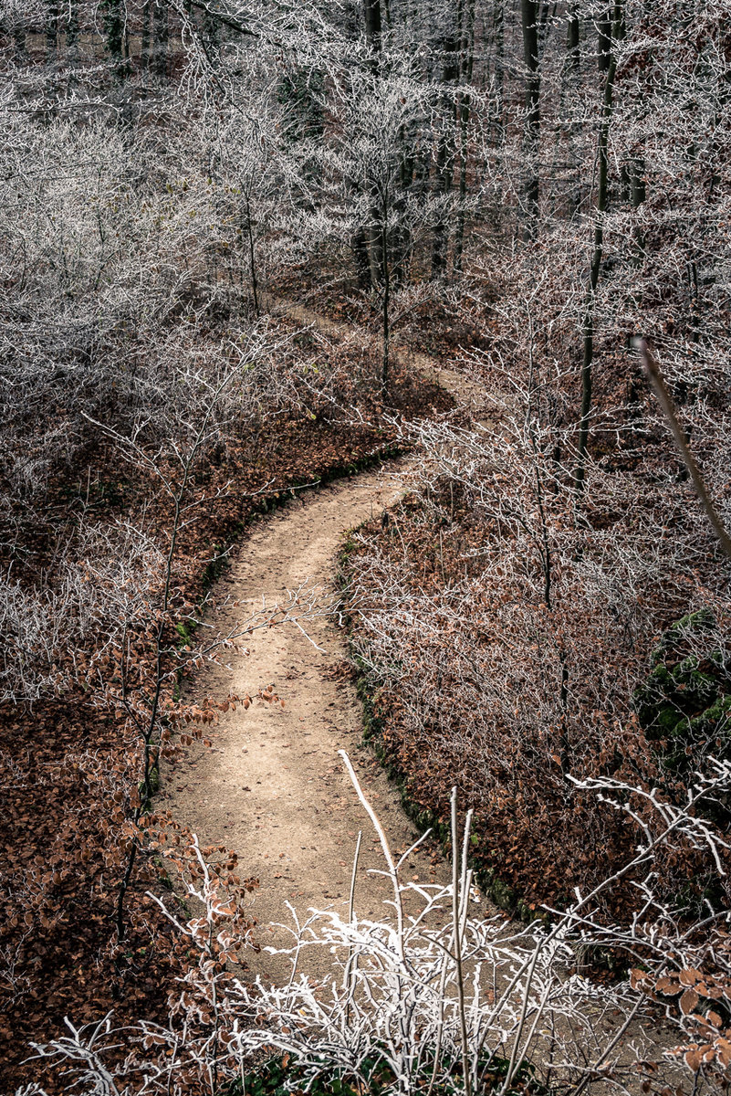 Path Between Frost