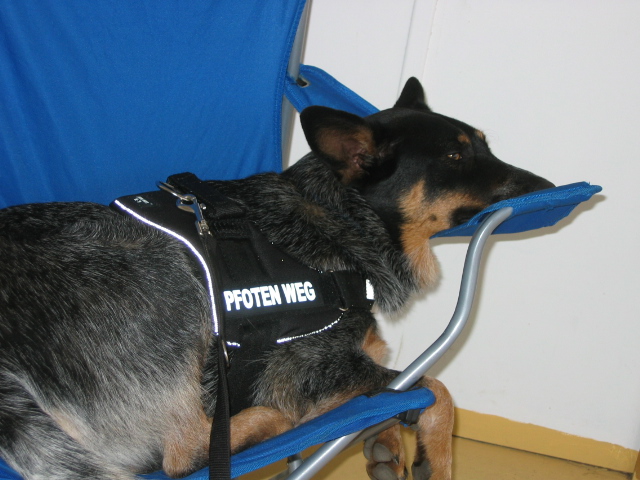 Paul bei der Arbeit