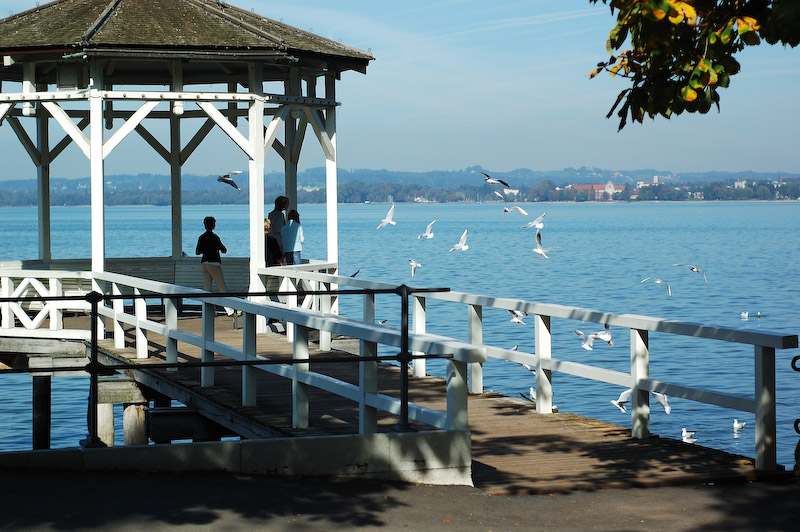 Pavillion