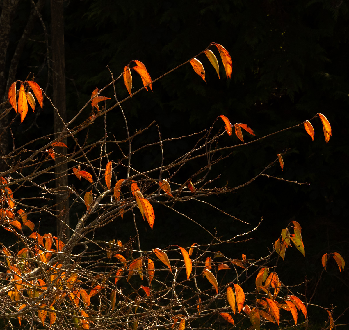 PB090008-2.jpg