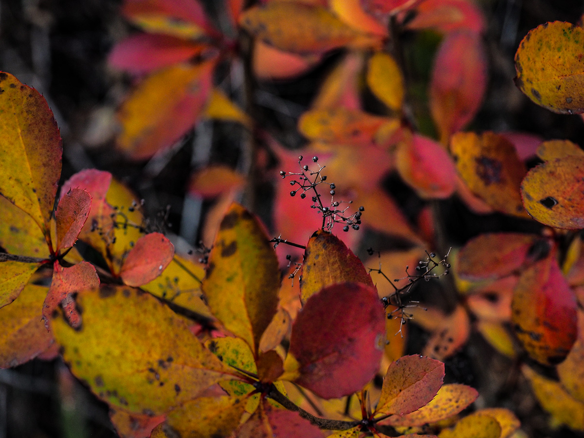 PB110128.jpg