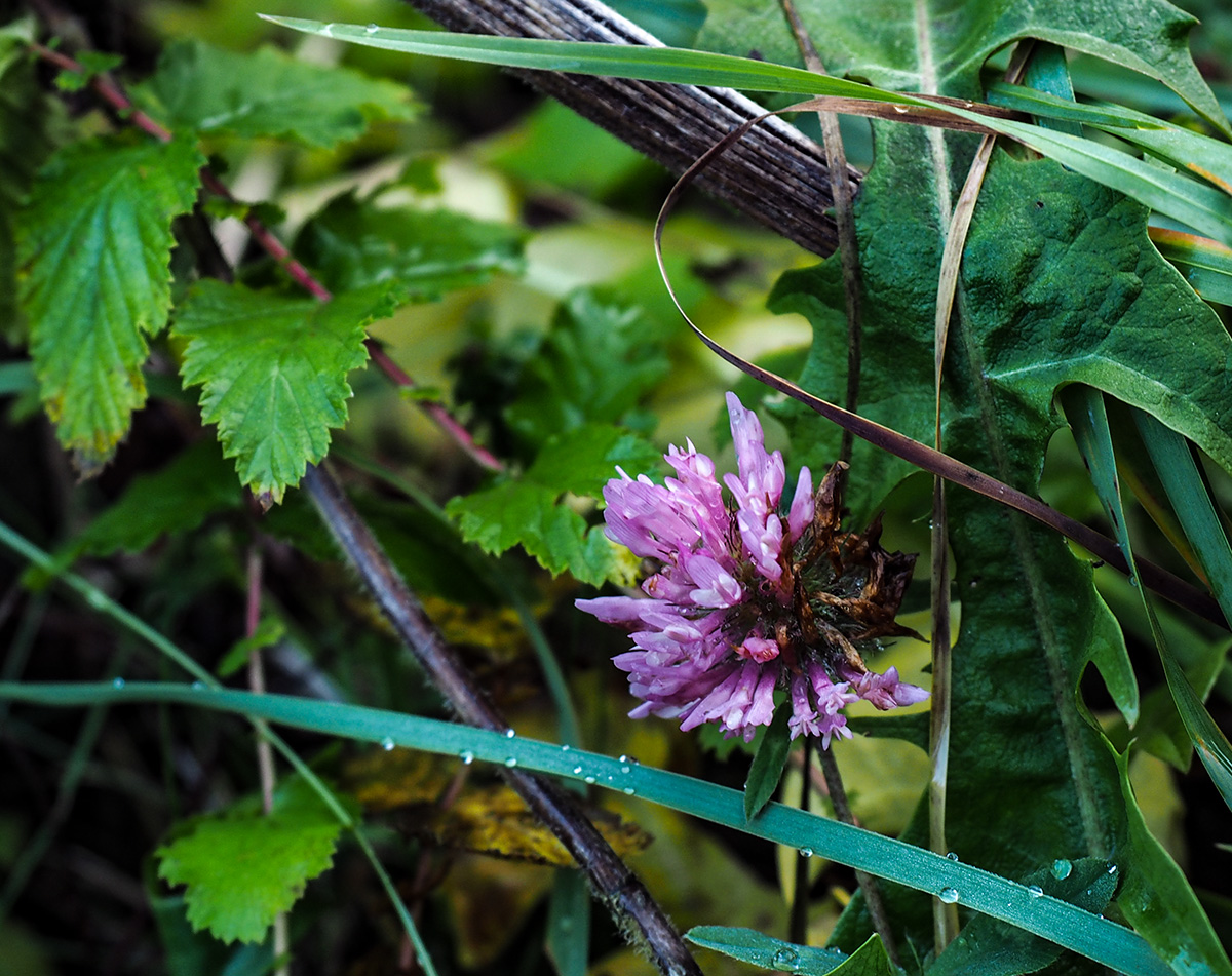 PB110133.jpg