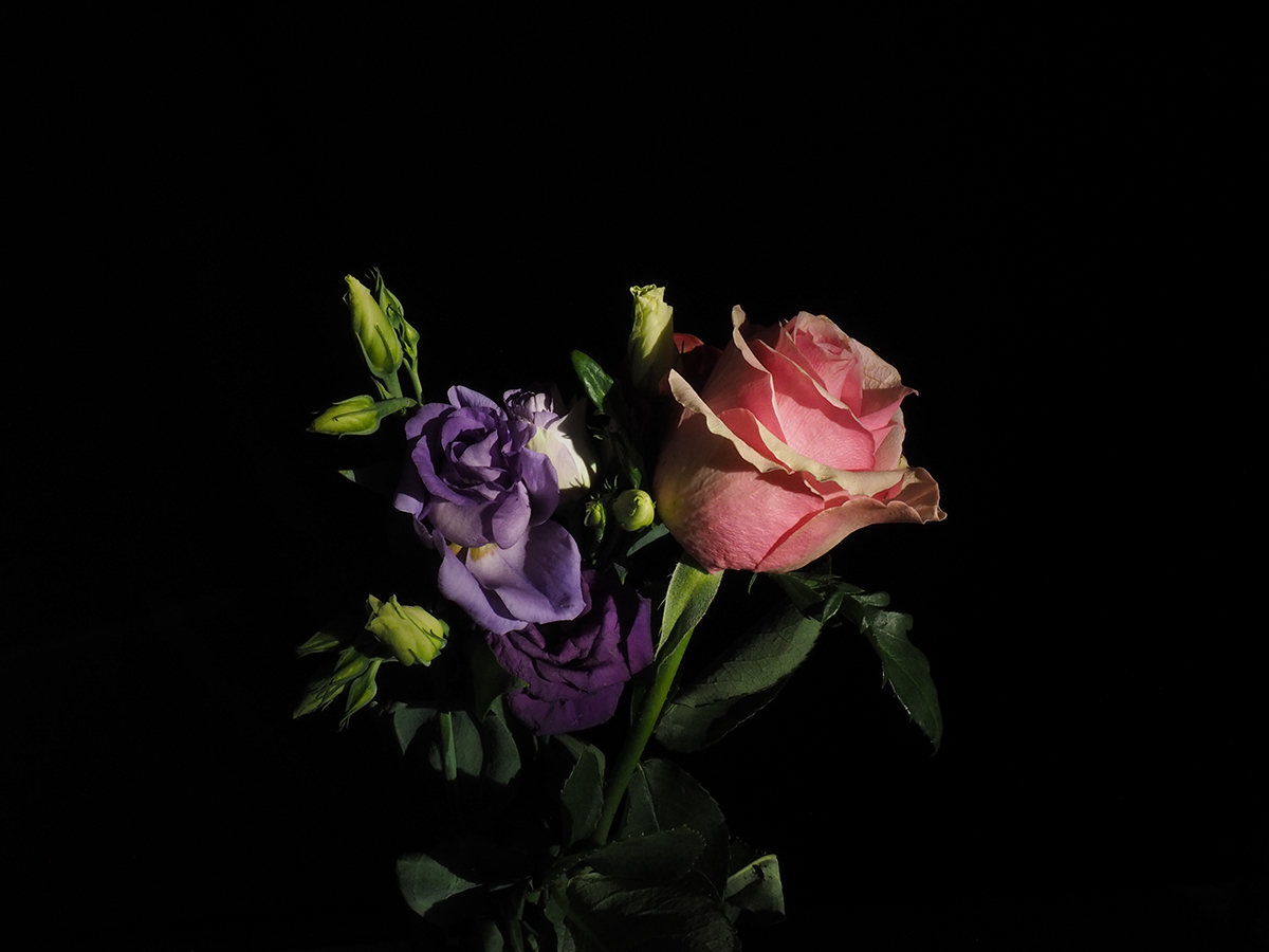 PB150370.jpg