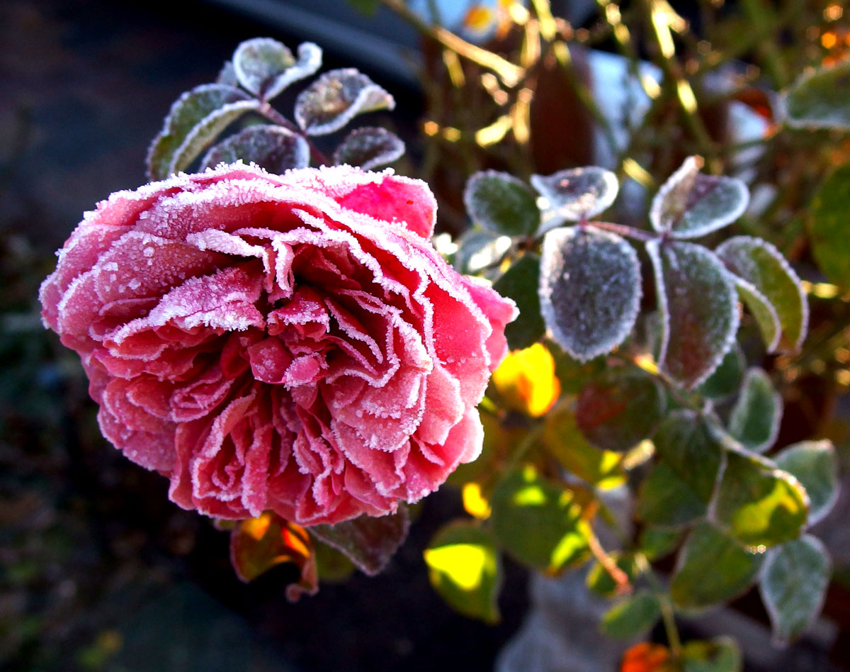 PC030025 1200px