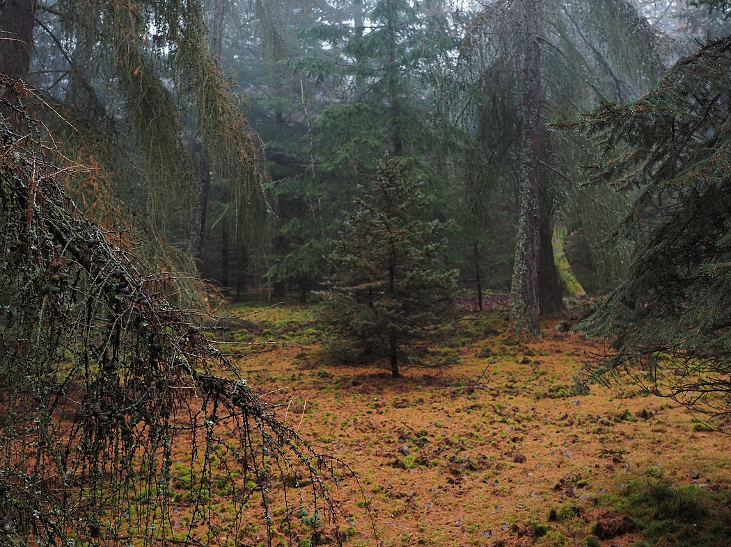 PC270430a_klein.jpg