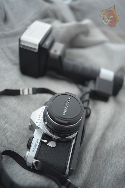 Pentax ME Super

Metz 45 CT 4
