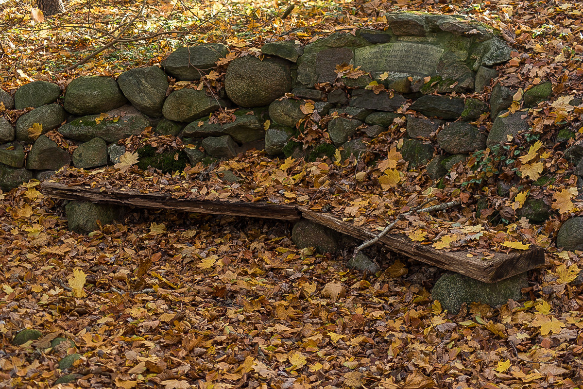 Pesel-Bank (1 von 1).JPG